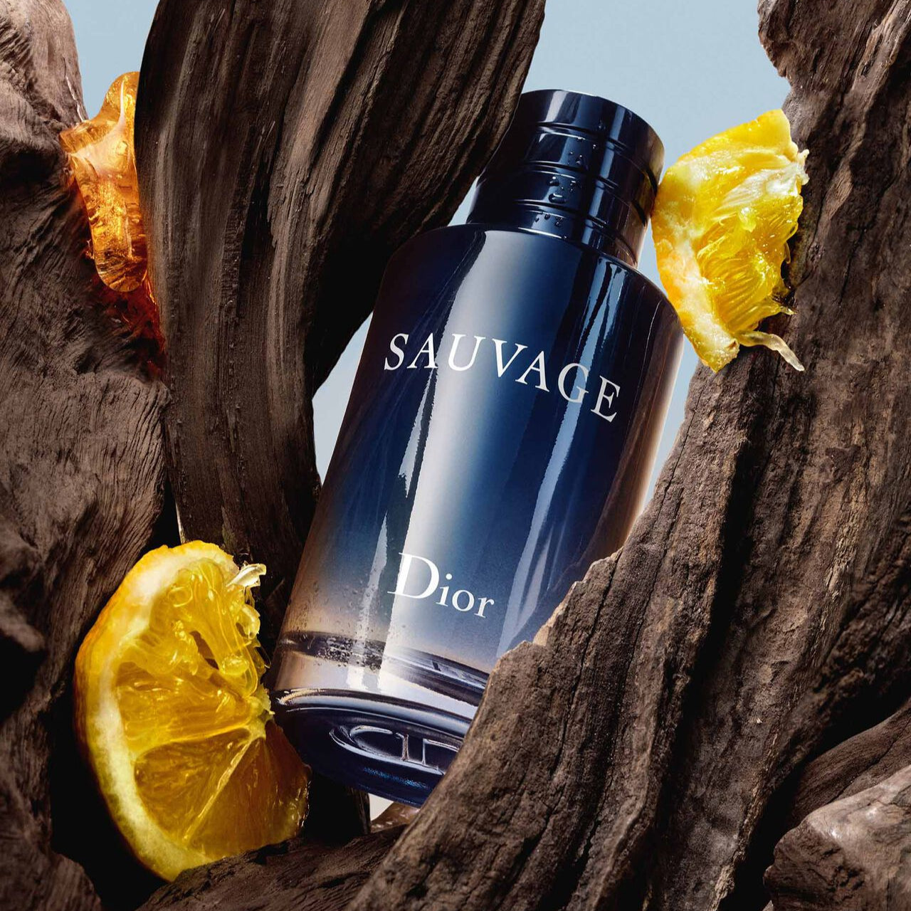 Sauvage Dior Eau De Perfume | Edp | Long Lasting Fragrance